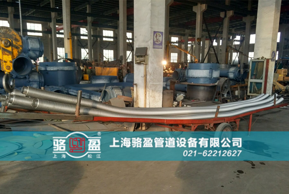 631491.jpg 19 - 副本_副本.jpg